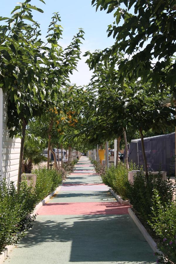 Almafra Camping